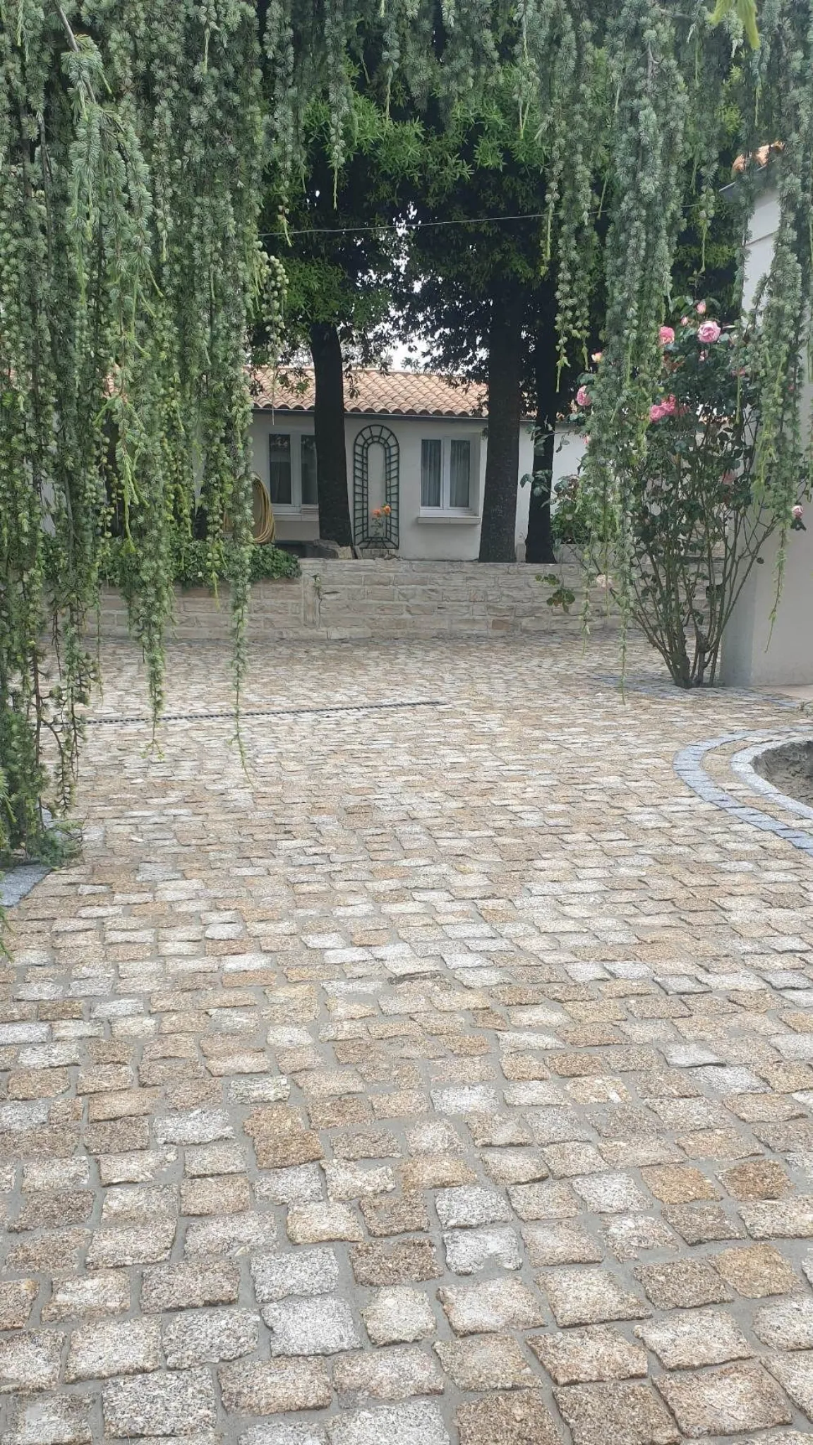 Allée en pavés granit doré bordée de rosiers grimpants devant une longère